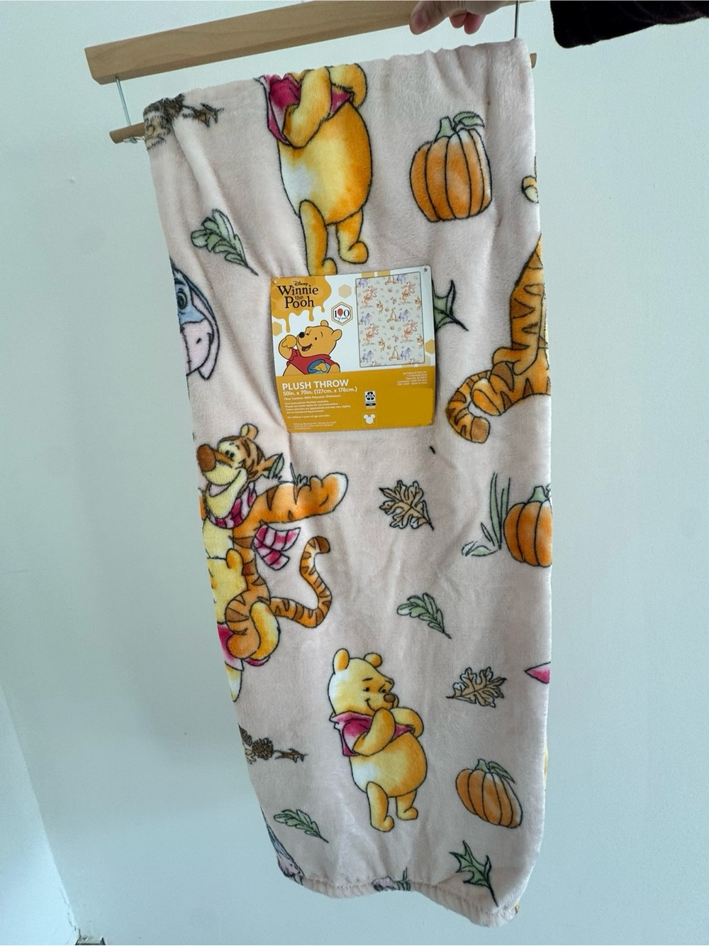 Disney Winnie the Pooh Fall Pink Blanket